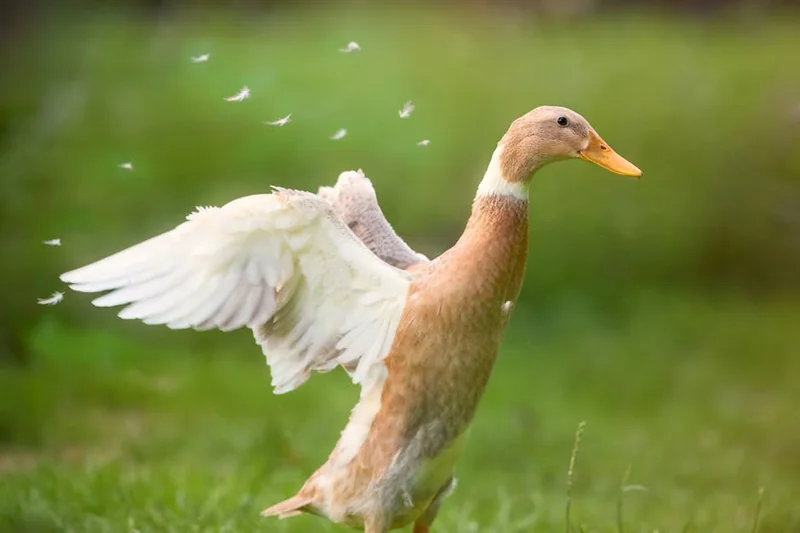 하나투어 땡처리 패키지